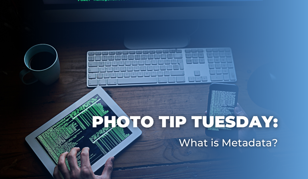 Photo Tip Tuesday: What is Metadata?