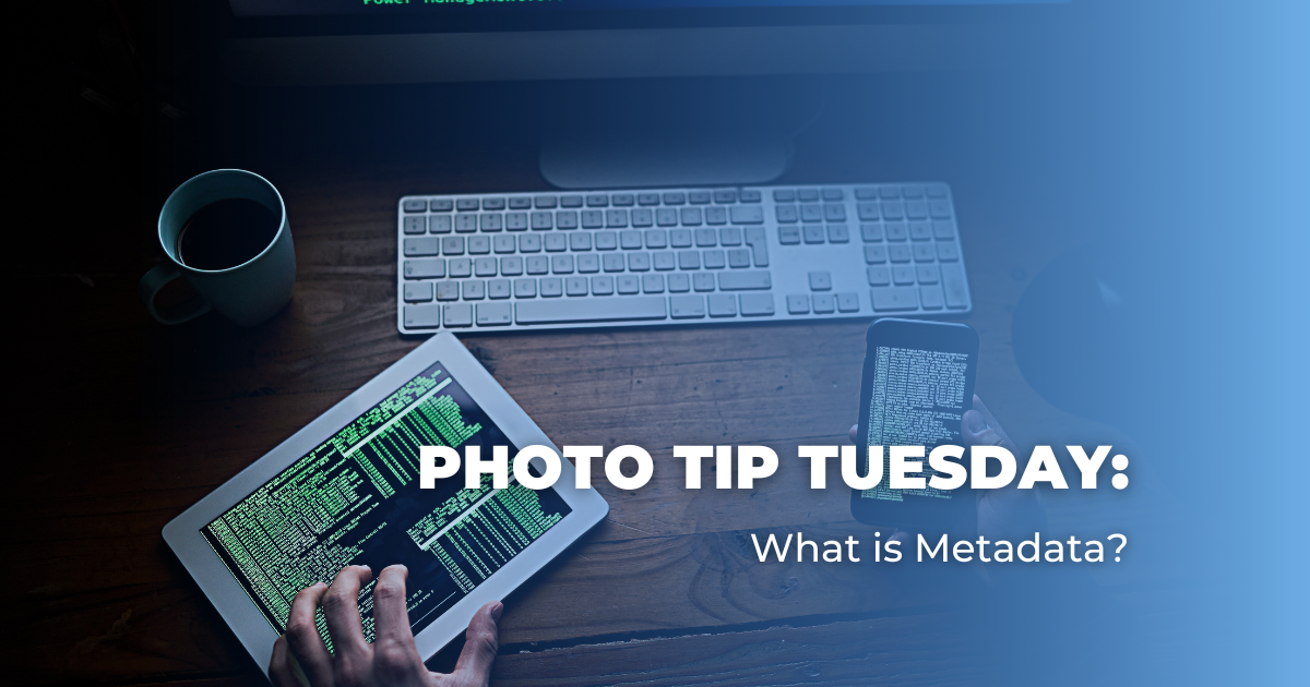 Photo Tip Tuesday_ What is Metadata