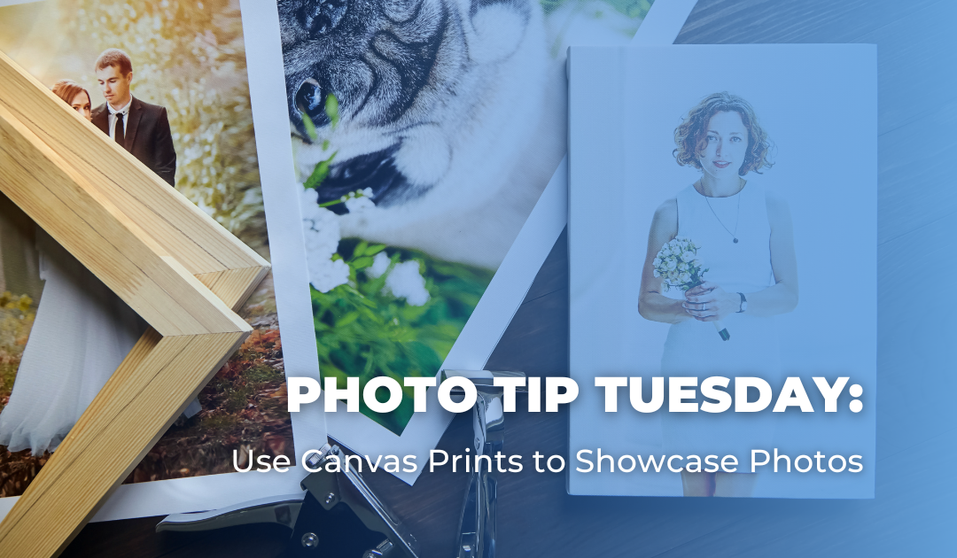 Photo Tip Tuesday: Use Canvas Prints to Showcase Photos