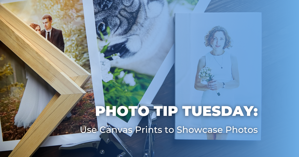 Photo Tip Tuesday_ Use Canvas Prints to Showcase Photos