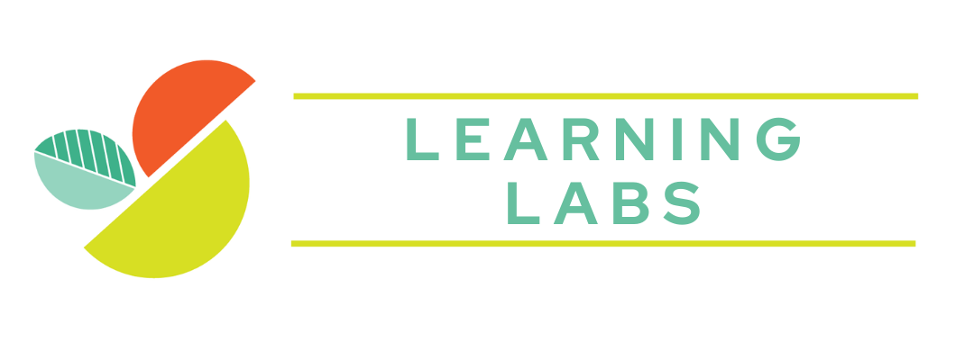 LEARNING LABS