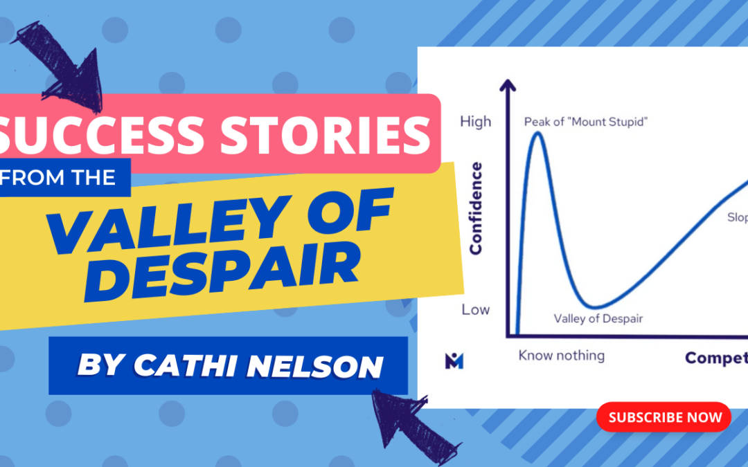 Success Stories from the Valley of Despair: Keynote by Cathi Nelson